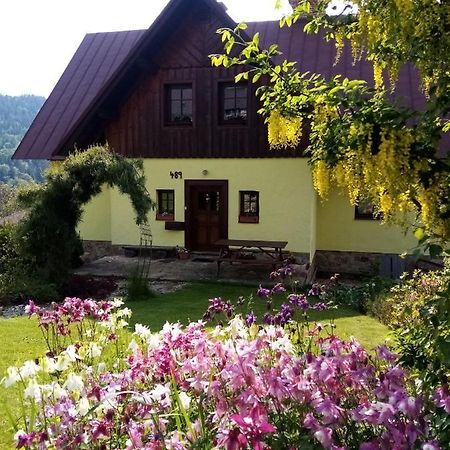 Apartments Vecernik Rokytnice Rokytnice nad Jizerou Exterior foto